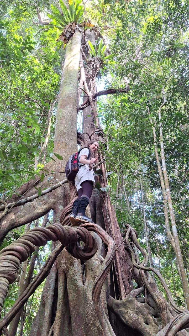 Batu Kapal Guest House & Jungle Trekking บูกิตลาวัง ภายนอก รูปภาพ