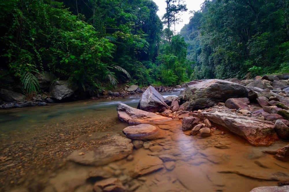 Batu Kapal Guest House & Jungle Trekking บูกิตลาวัง ภายนอก รูปภาพ
