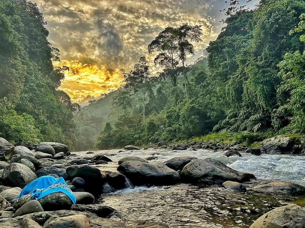Batu Kapal Guest House & Jungle Trekking บูกิตลาวัง ภายนอก รูปภาพ