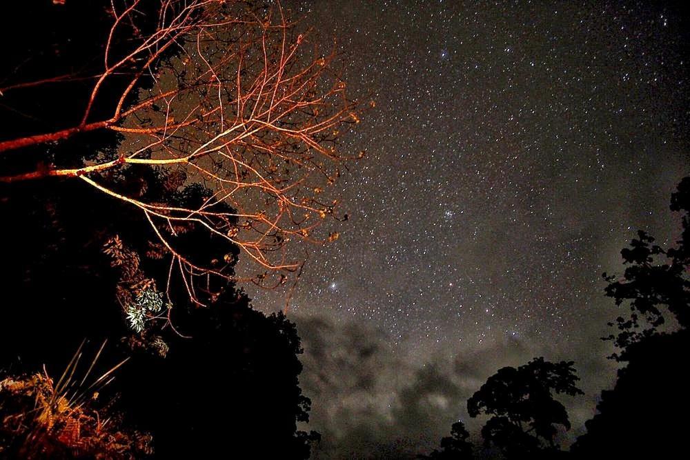 Batu Kapal Guest House & Jungle Trekking บูกิตลาวัง ภายนอก รูปภาพ