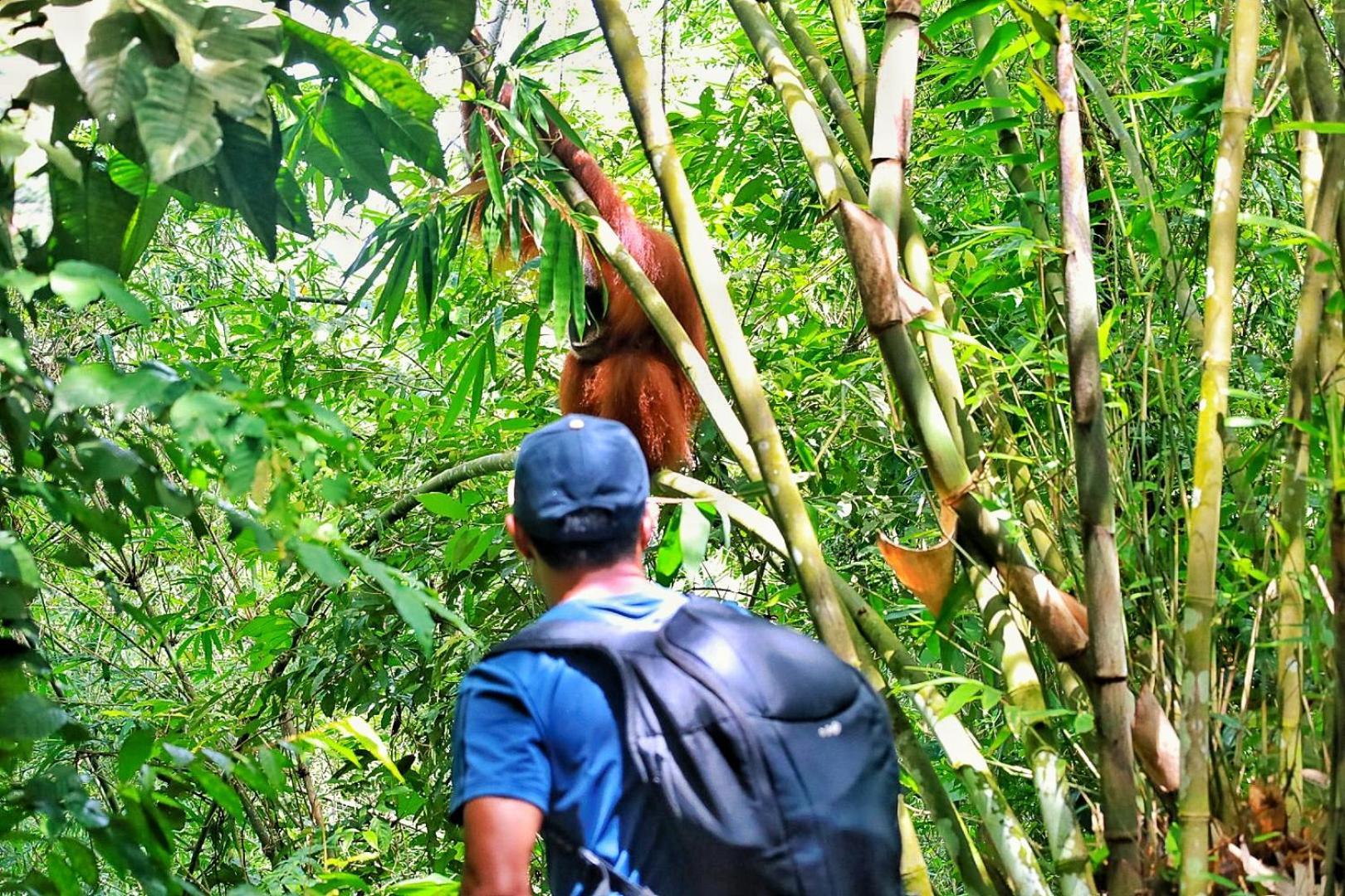 Batu Kapal Guest House & Jungle Trekking บูกิตลาวัง ภายนอก รูปภาพ
