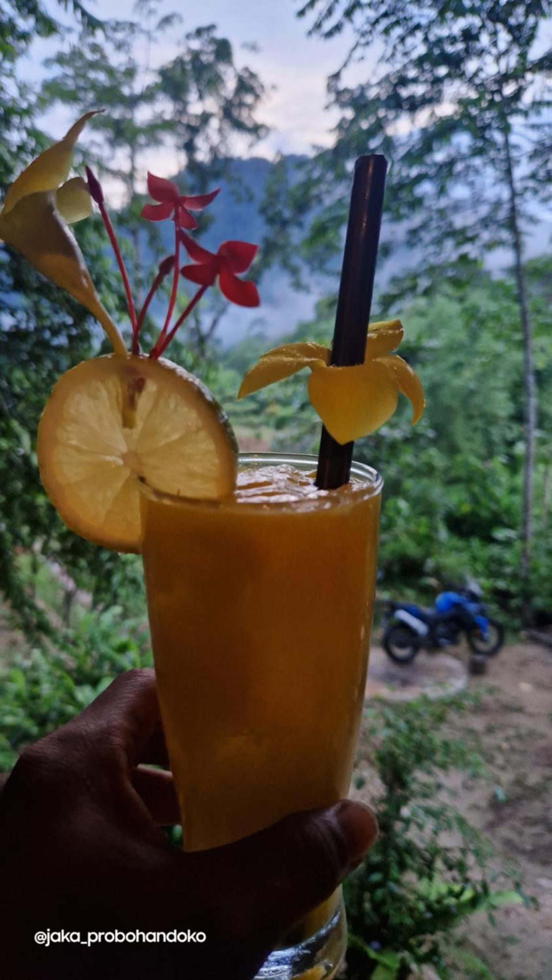 Batu Kapal Guest House & Jungle Trekking บูกิตลาวัง ภายนอก รูปภาพ