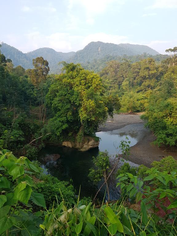 Batu Kapal Guest House & Jungle Trekking บูกิตลาวัง ภายนอก รูปภาพ