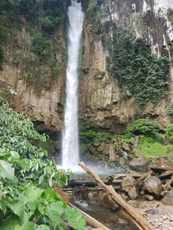 Batu Kapal Guest House & Jungle Trekking บูกิตลาวัง ภายนอก รูปภาพ